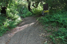 At the bottom of the Meadow Trail