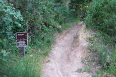Crazy Pete's Road (trail) at Alpine Road