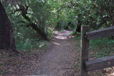 The Alpine Road Bypass