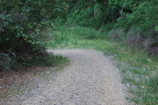 Ballast rock is still plentiful on