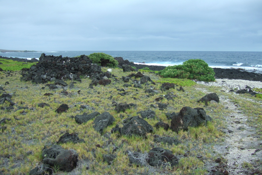 More beach naupaka and a small heiau.