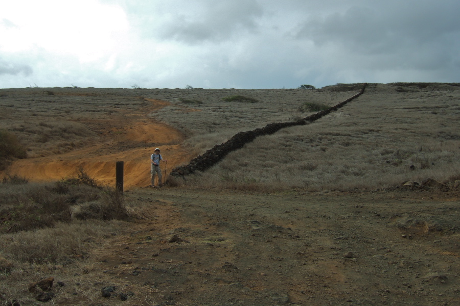 Bill stands at a stone wall marking an old property line.