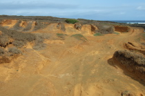 Four-wheel drive vehicles have torn up this area, cutting new trails when old trails get too worn.