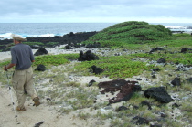 David sets off to explore a green mound.