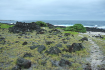 More beach naupaka and a small heiau.