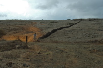 Bill stands at a stone wall marking an old property line.