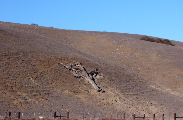 Desertification in Peachtree Valley.
