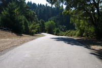 Bear Gulch Rd., middle part (2000ft)