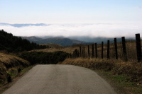 Bear Gulch Rd., top of the steep part (1850ft)