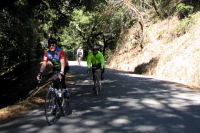 Descending Star Hill Rd. (2060ft)