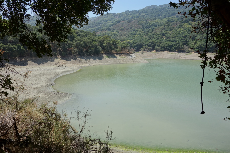 A rope swing hangs unused over the low water.