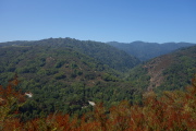 View from