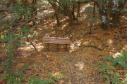 A nice bench in the shade looks tempting.
