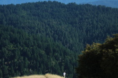 Another park visitor enjoys the view over Oil Creek watershed.