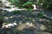 Grizzly Flat Trail crosses Stevens Creek