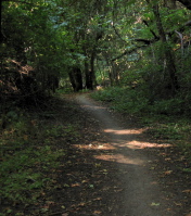 Canyon Trail (1200ft)