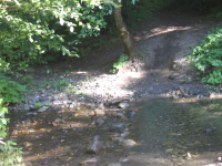 Ford on Stevens Canyon Trail (1190ft)