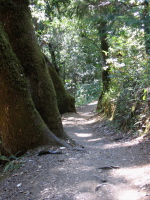 Canyon Trail (1280ft)