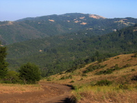 Black Mountain (2810ft) from the Spring Ridge Trail (1730ft)