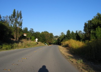 Descending Arastradero Rd. into Los Altos Hills (280ft)