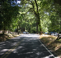 Costanoa Picnic Area, Stevens Canyon Rd. (560ft)