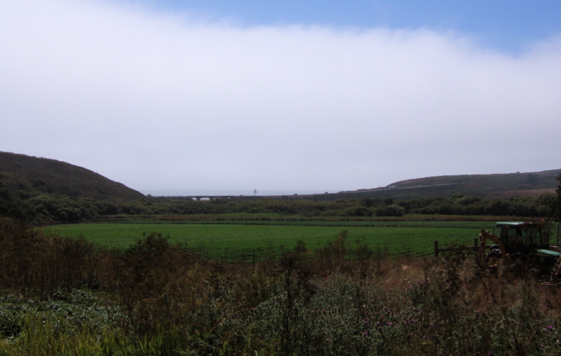 CA1 Scott Creek Bridge.