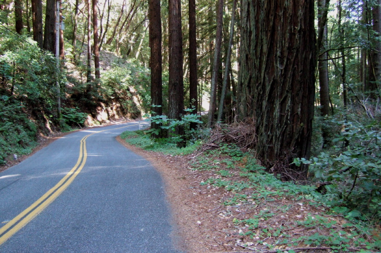 Descending Smith Grade Rd. toward Laguna Creek.