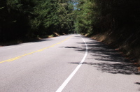Bonny Doon Rd. on the last long, straight uphill section.