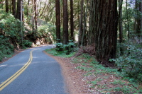 Descending Smith Grade Rd. toward Laguna Creek.