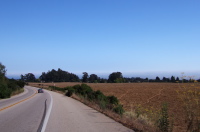 Descending Empire Grade Rd. into Santa Cruz.