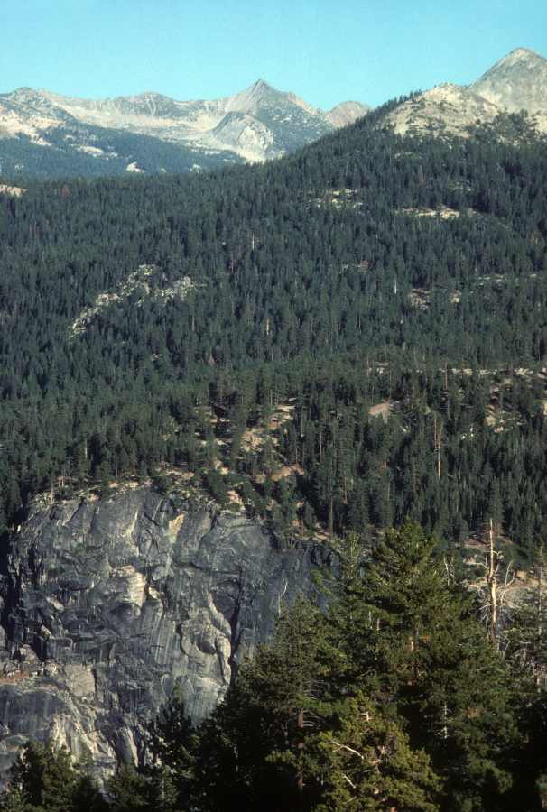 Gray Peak and Mt. Starr King from Glacier Point
