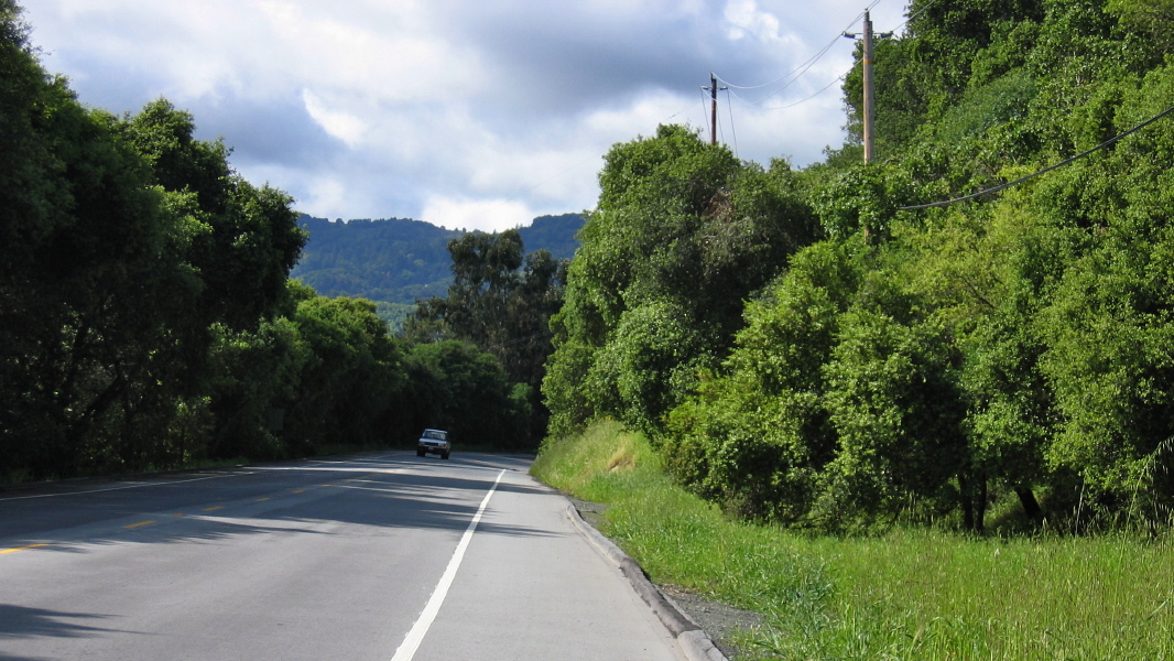 Riding south on Alpine Rd., Portola Valley