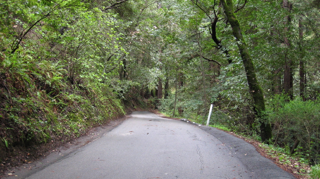 Climbing Old La Honda Rd. (1)
