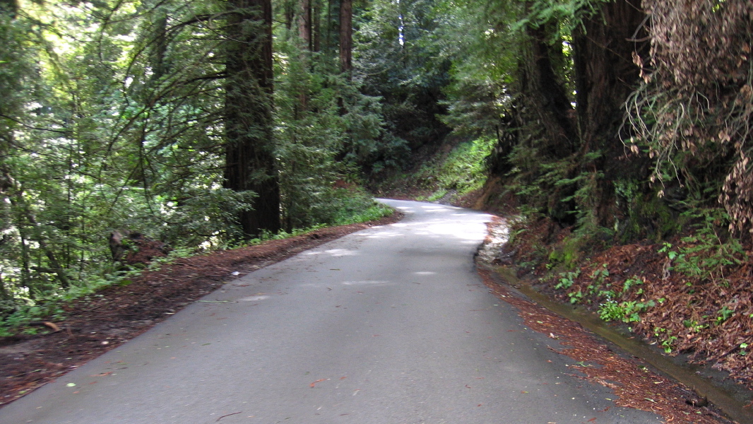 Climbing Old La Honda Rd. (3)