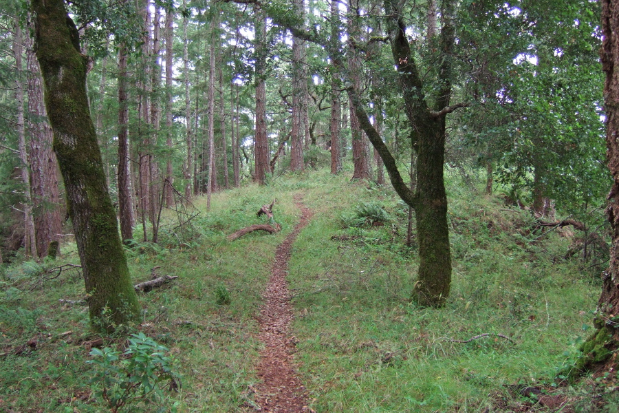 Trail runs atop Coyote Ridge.