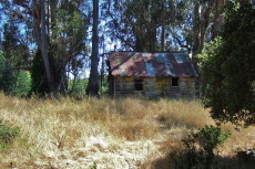 Passing by the abandoned shed