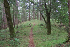 Trail runs atop Coyote Ridge.