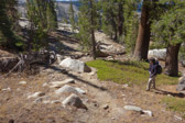 This trail is probably the use trail from Mildred Lake to the summit of Tenaya Peak.  We follow it to the summit to save time and energy.