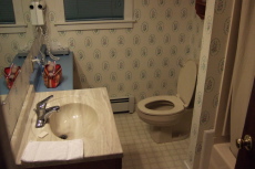The bathroom