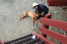 Kumba and Bill