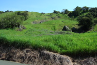 Old mudslide on Geysers Rd.