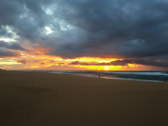 Photo courtesy of Laura Bushnell.