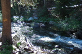 Former river crossing was here, as marked by the blaze on the tree.