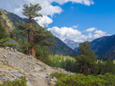 Mammoth Mountain is in the background.  Photo courtesy of Frank Paysen.