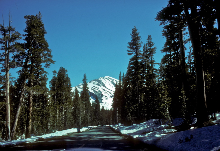 Driving Tioga Road, back into Tuolumne Meadows