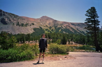 Mt. Dana from Tioga Pass.