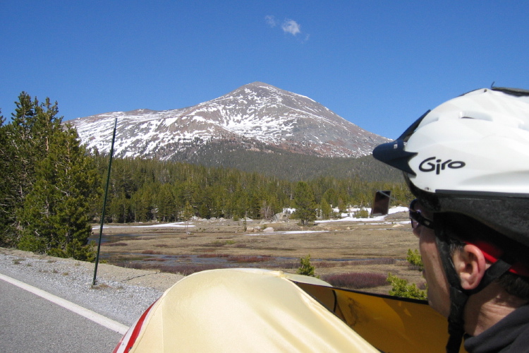 Mt. Dana (13,053ft) from Dana Meadows (9460ft).