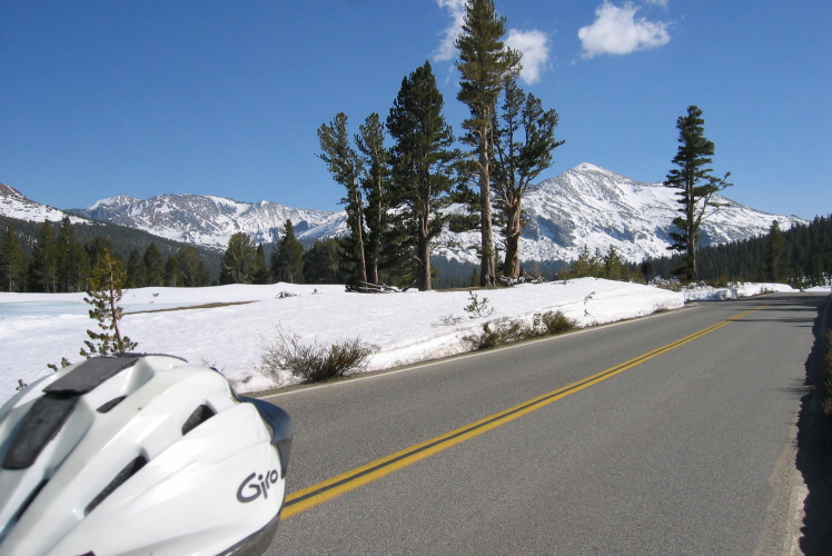 Summer is coming fast to the high country.