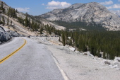 Descending to Tenaya Lake on Tioga Rd. (8380ft)