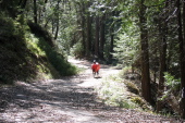 Ron climbs up Old Big Oak Flat Rd. (Tuolumne Grove Rd.) (4722ft)